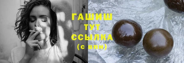 индика Зеленодольск
