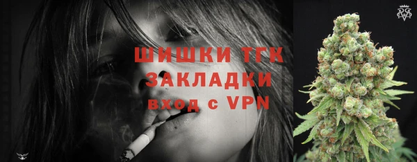 индика Зеленокумск
