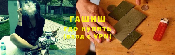 индика Зеленодольск