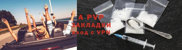 индика Зеленодольск