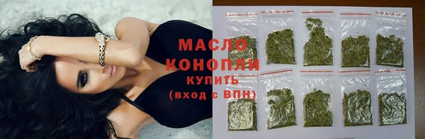 индика Зеленокумск