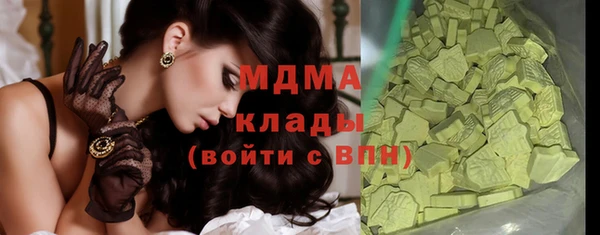 индика Зеленодольск