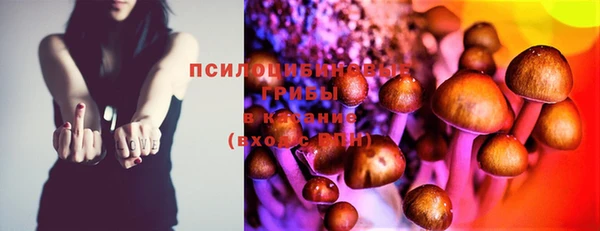 индика Зеленодольск