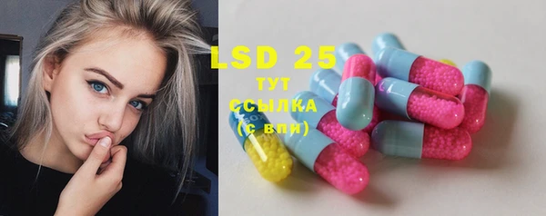 индика Зеленодольск