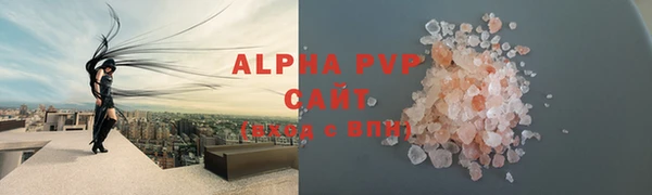 индика Зеленокумск