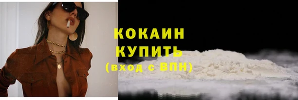 индика Зеленокумск