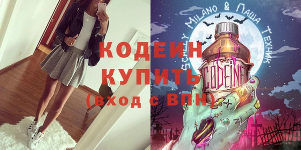 индика Зеленодольск