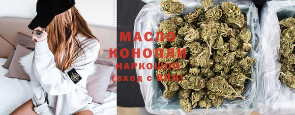 индика Зеленодольск