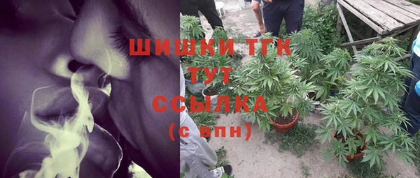 индика Зеленодольск