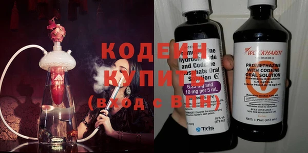 индика Зеленодольск