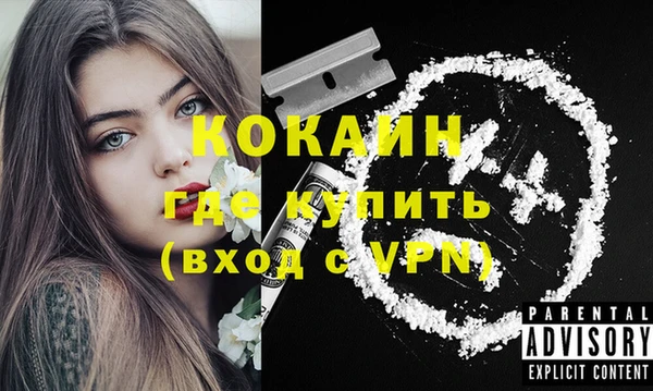 индика Зеленокумск