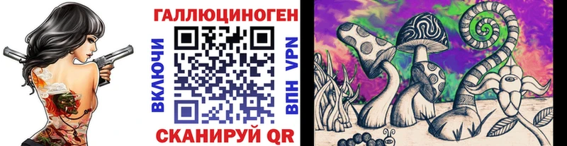 Купить где  Зима  Псилоцибиновые грибы прущие грибы 